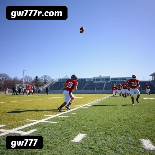 Estatísticas de bônus da gw777 em São Paulo, Rio de Janeiro e Brasília